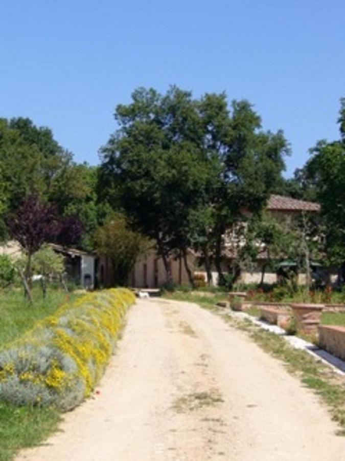 Agriturismo La Segolina Colle di Val d'Elsa Exterior foto